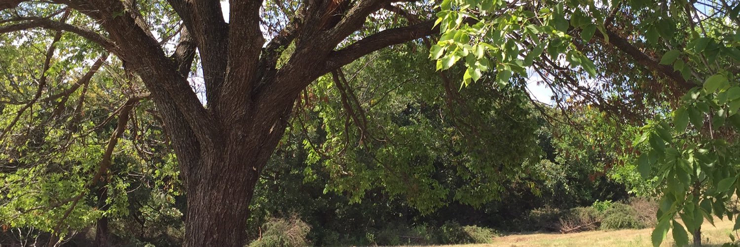 torifullerrrrrr's profile banner image