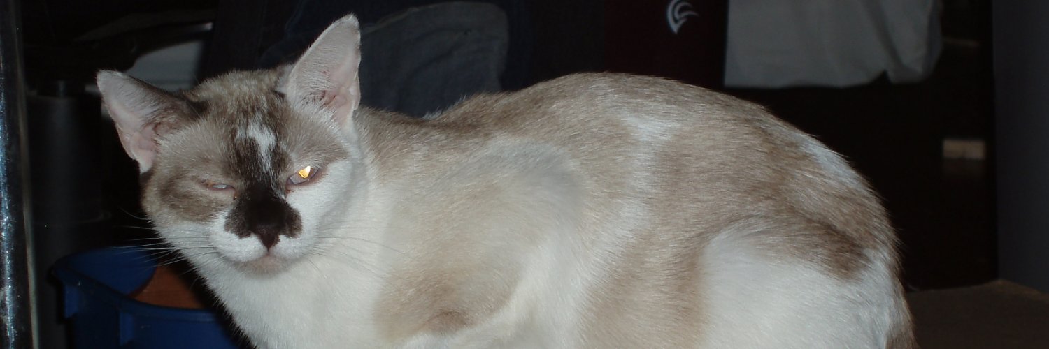 SwainCliff's profile banner image