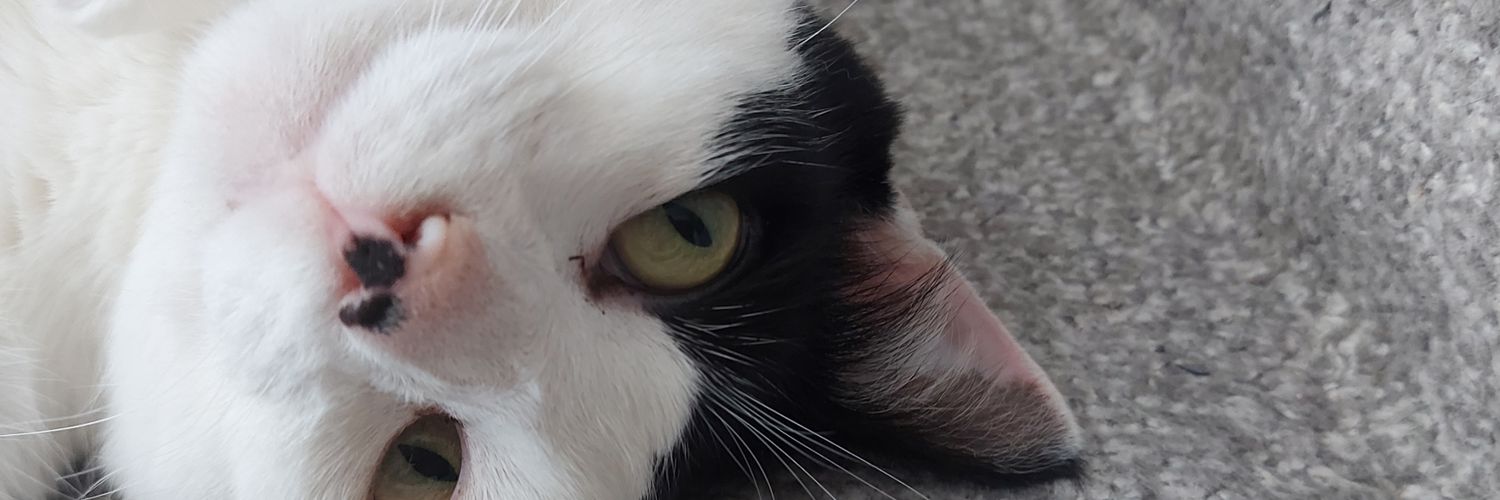 JanWhitehead's profile banner image