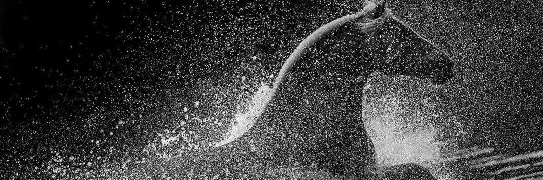 al__aseef's profile banner image