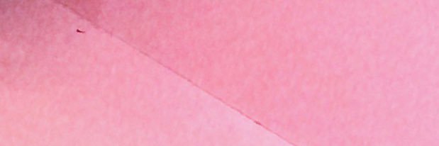 susantranova's profile banner image