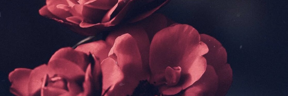 Chrisstal2's profile banner image