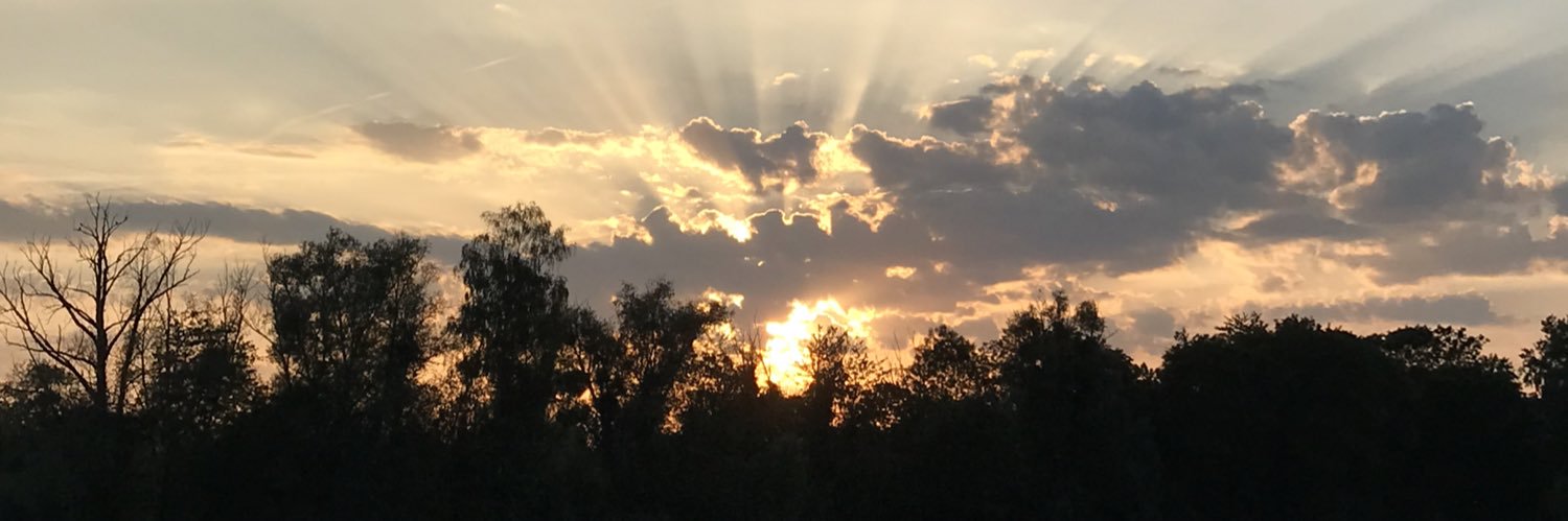 FlOrM6's profile banner image