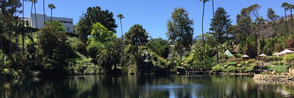 DavidDurandMD Profile Banner