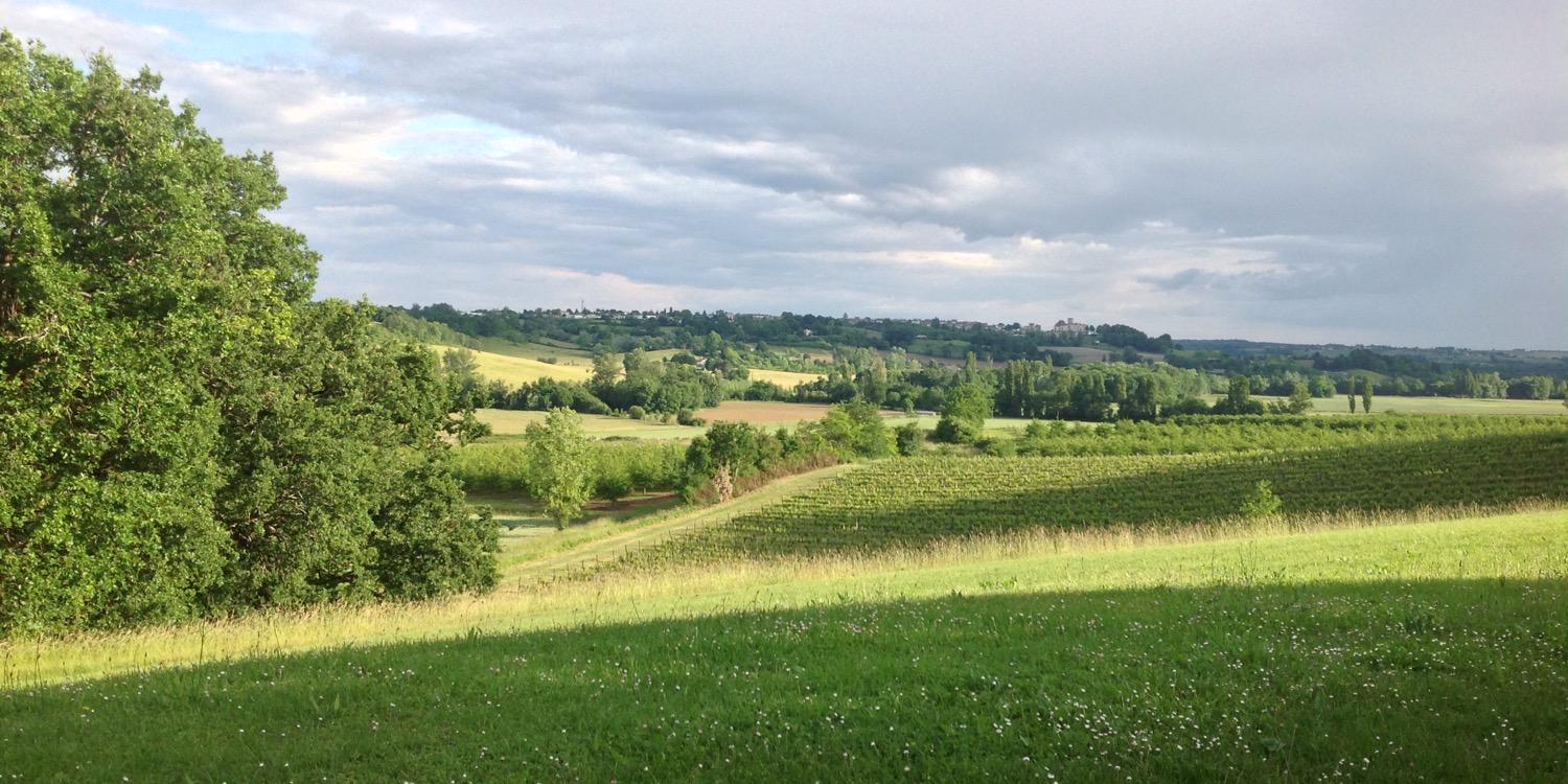 Roger Masterman banner