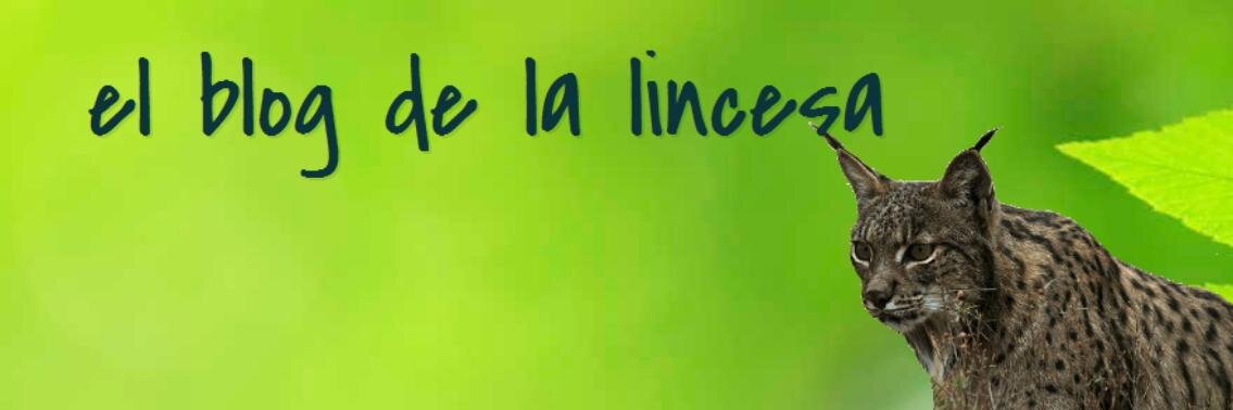 Lincesa_rg's profile banner image