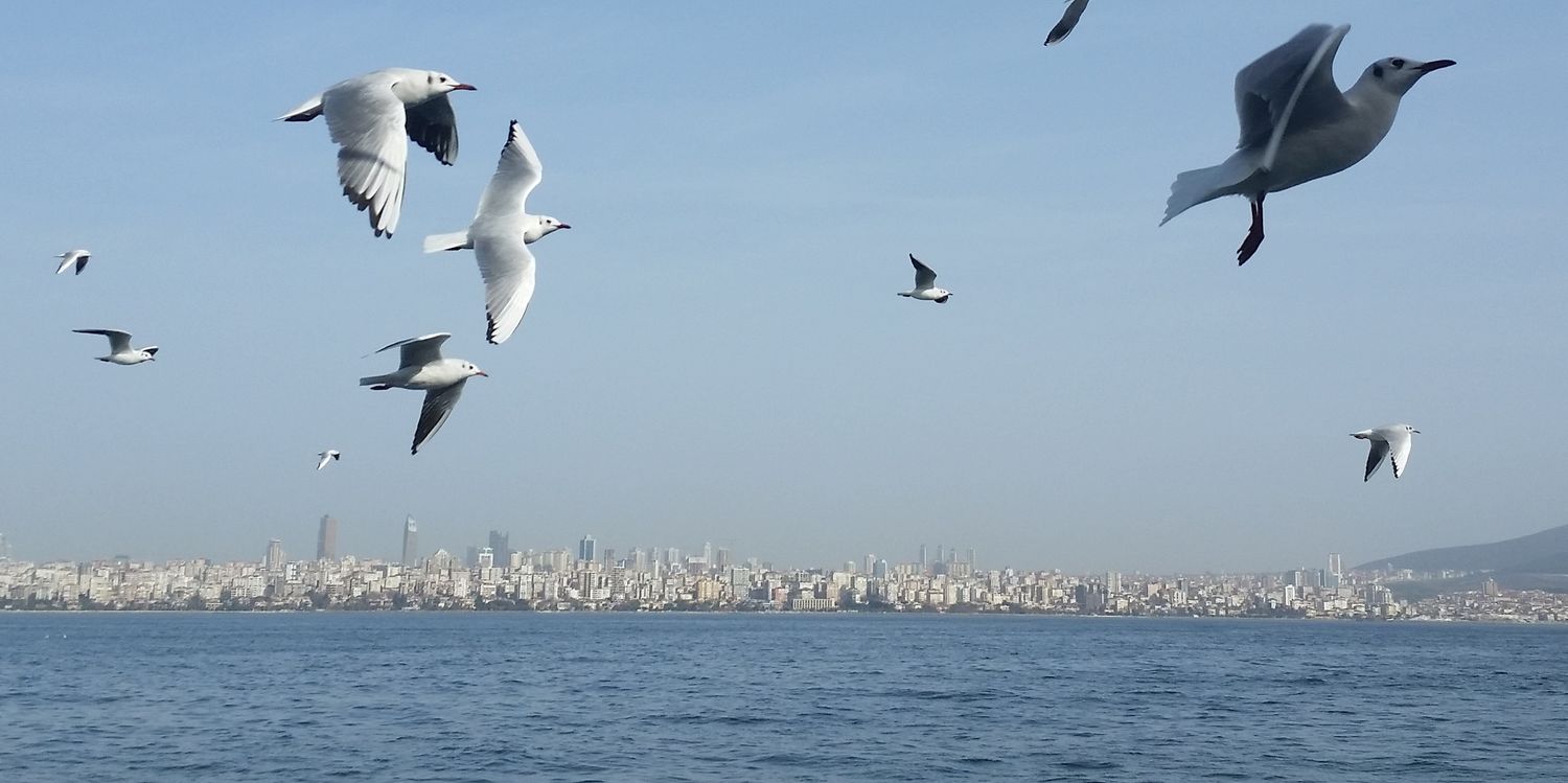 RanaAllaf's profile banner image