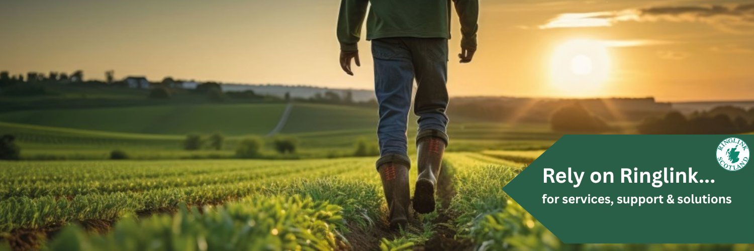 Ringlink Scotland banner