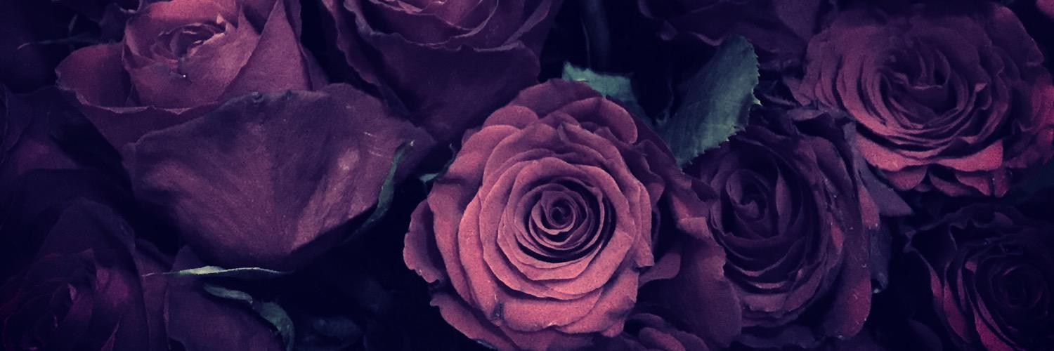 MIRIAM_ATQ's profile banner image