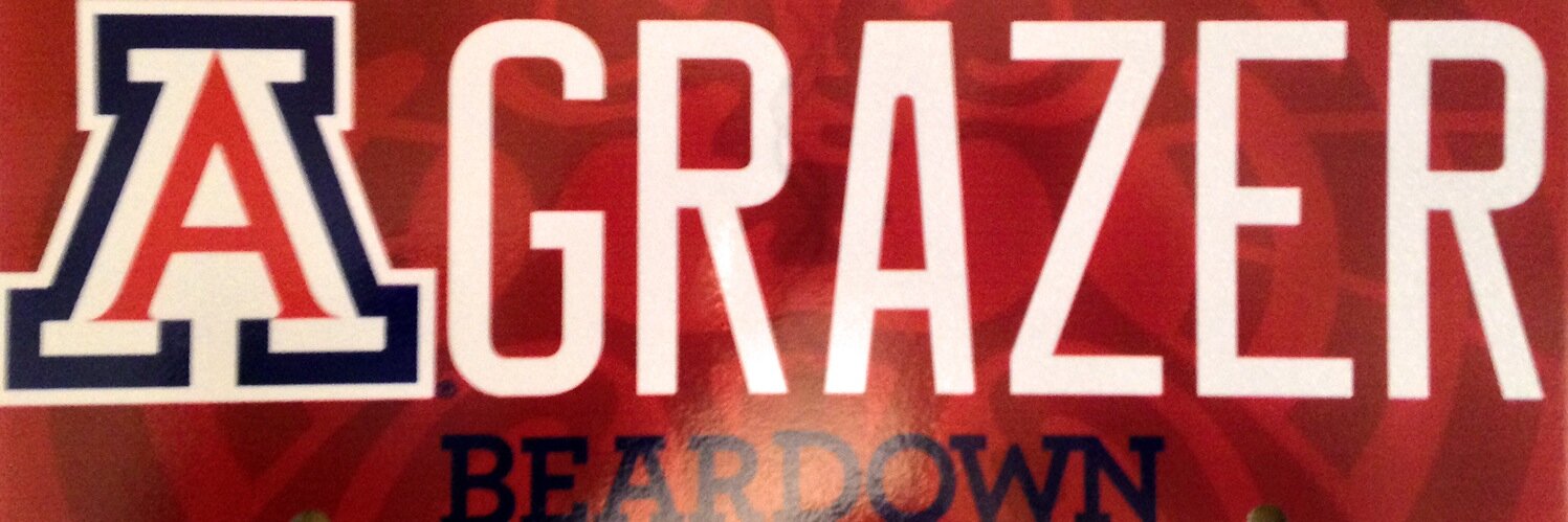 igrazer's profile banner image