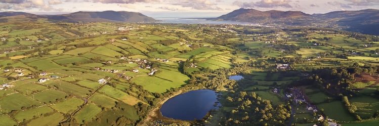 Rory Mc Kernan banner