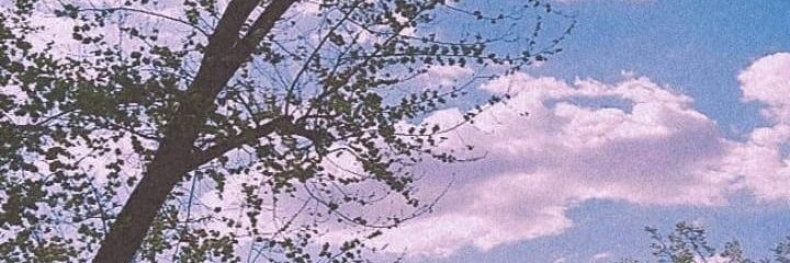 Angelaminlemon's profile banner image
