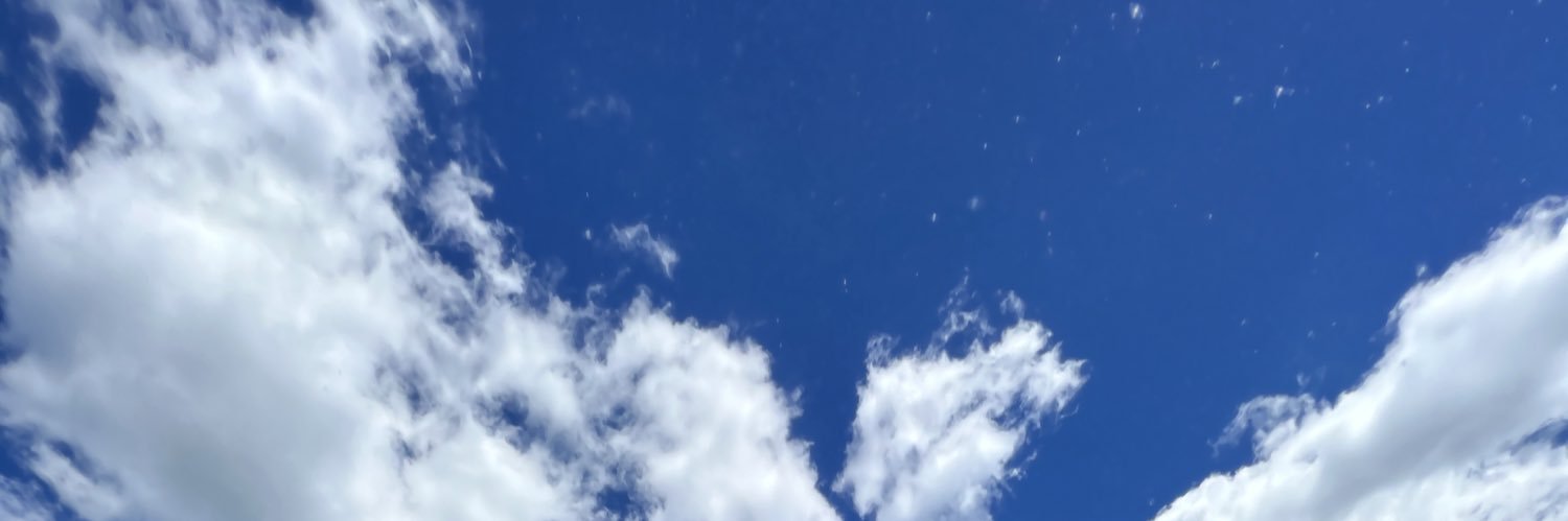 danyaclein's profile banner image