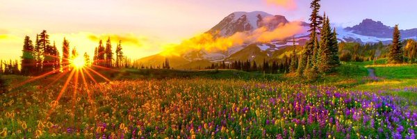 KatD_EO Profile Banner