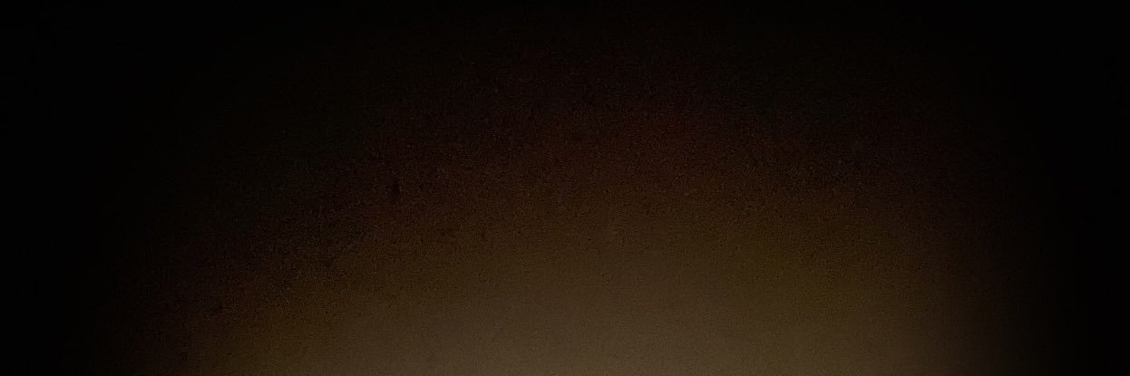 therickypluto's profile banner image