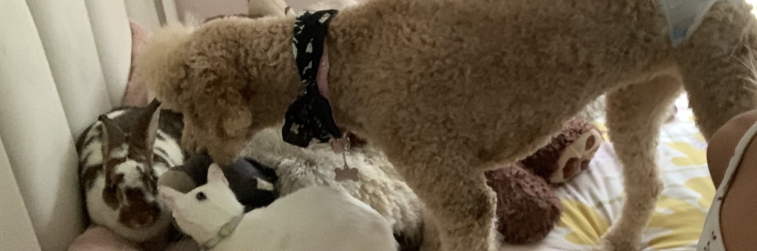 f banner
