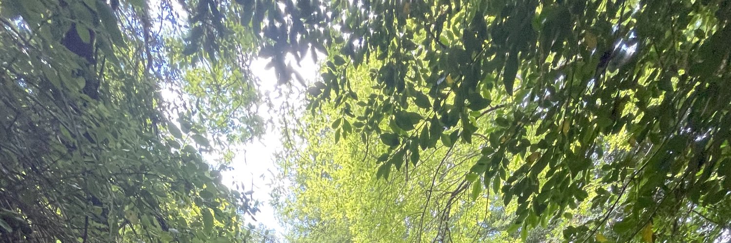 mrjpy's profile banner image