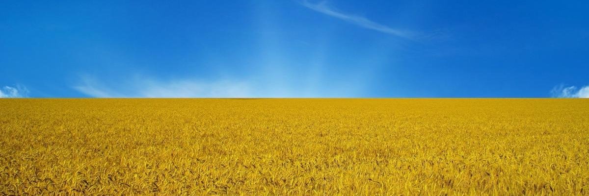 NabGump's profile banner image