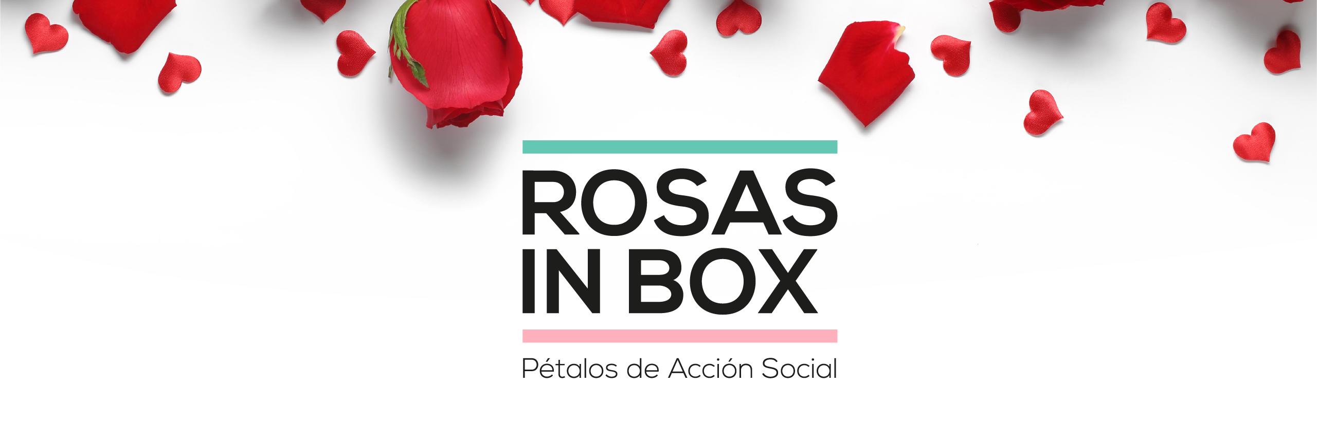 Rosasinbox's profile banner image