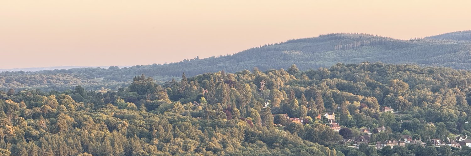 Zino banner