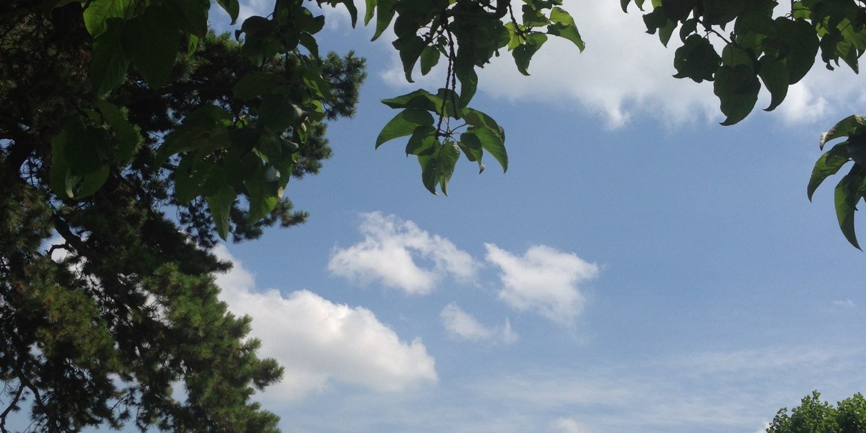 AzzaAlKaabi's profile banner image