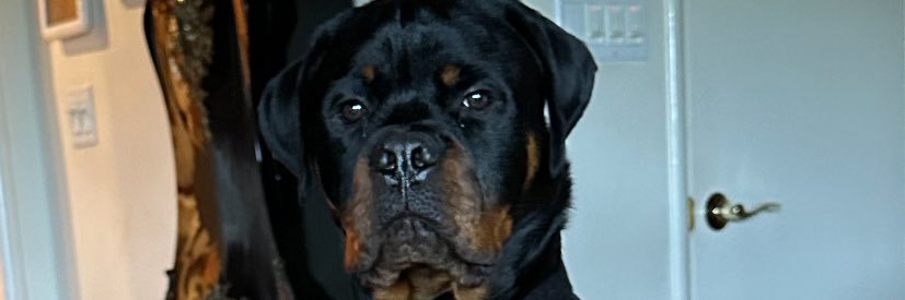 Happy Independent 🇺🇸🇺🇸 banner