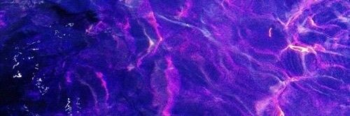 Rob banner