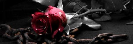 JMac_4Ever's profile banner image