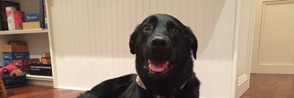 WFMMD Profile Banner