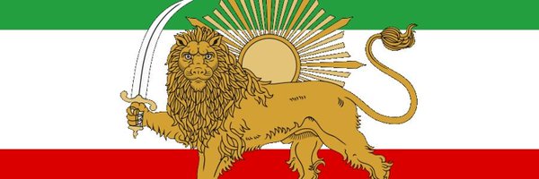 NikDavidYaron Profile Banner
