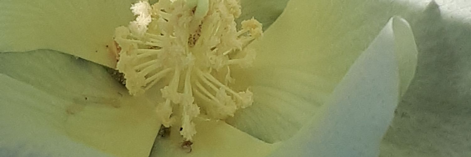 f_gunseli's profile banner image