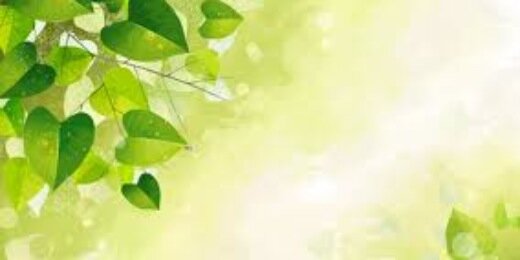 MarieOffenberg's profile banner image