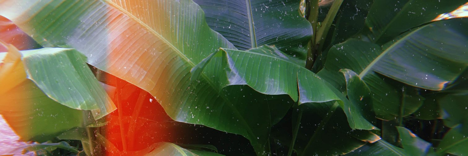 _HannahDavies's profile banner image
