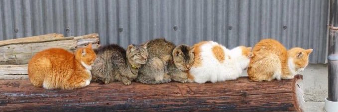 winkleburger's profile banner image