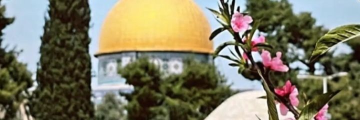 Engmouath's profile banner image