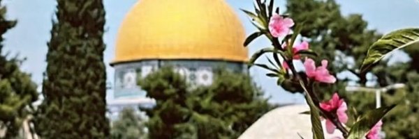 Engmouath Profile Banner