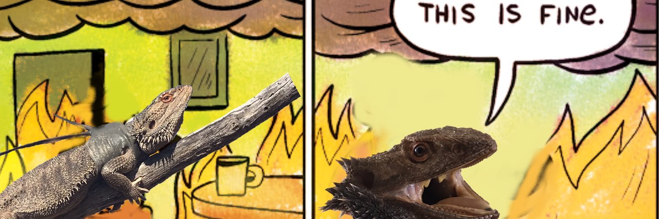 pr_pearson's profile banner image