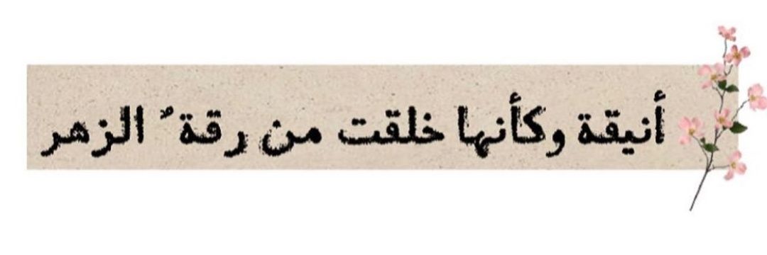 WafaAli41's profile banner image
