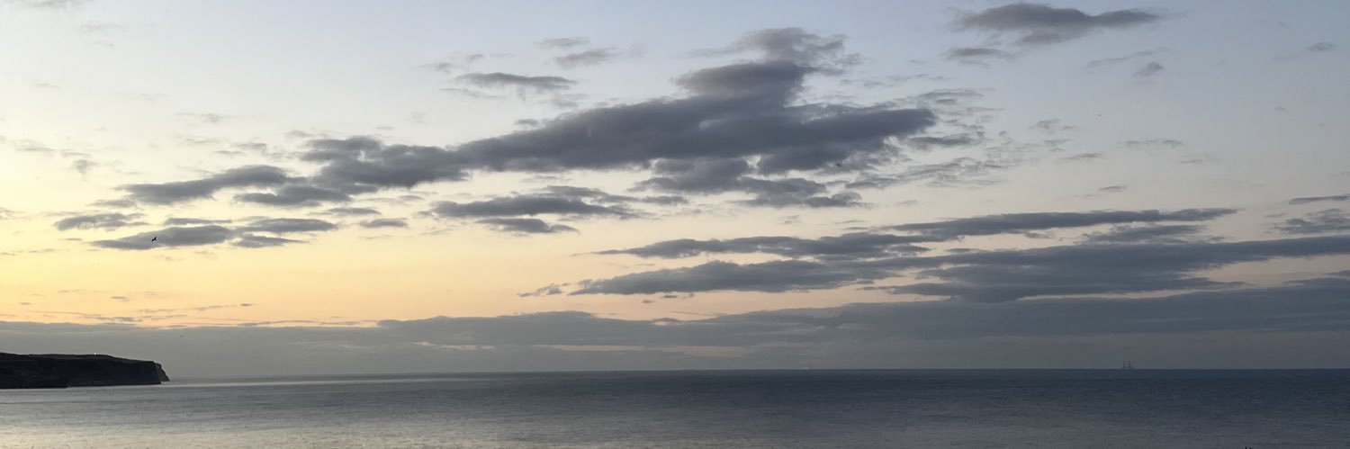 laurenlhall's profile banner image