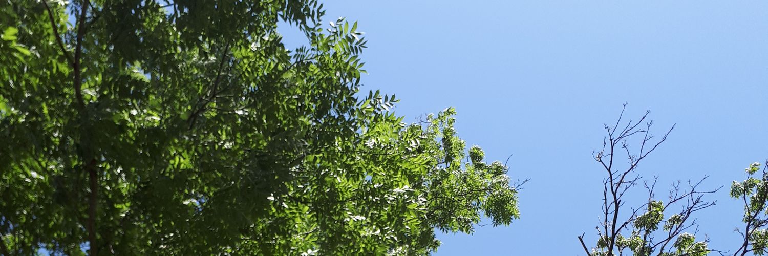 FilipKonen1's profile banner image