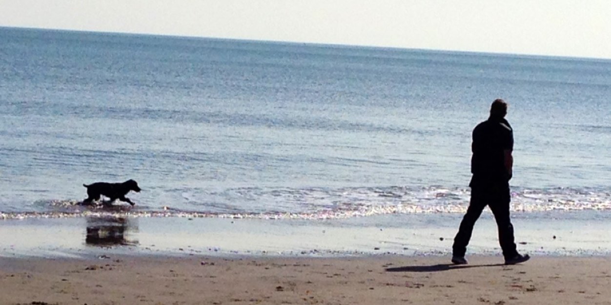 Helen Jenkinson banner