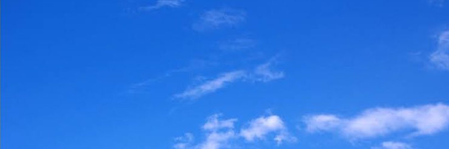 スワン(投資4年生)💕デイトレ勉強中 banner