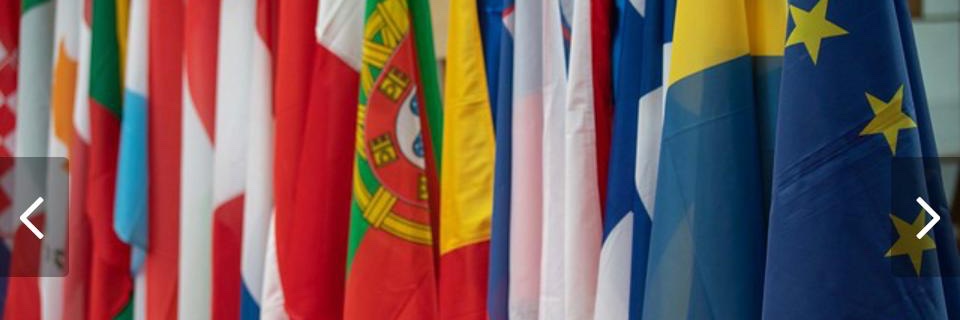 Velislava Petrova, PhD banner