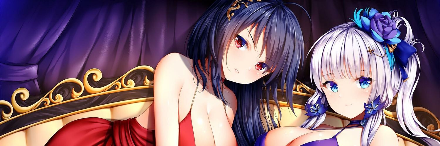 IJNTaihou's profile banner image