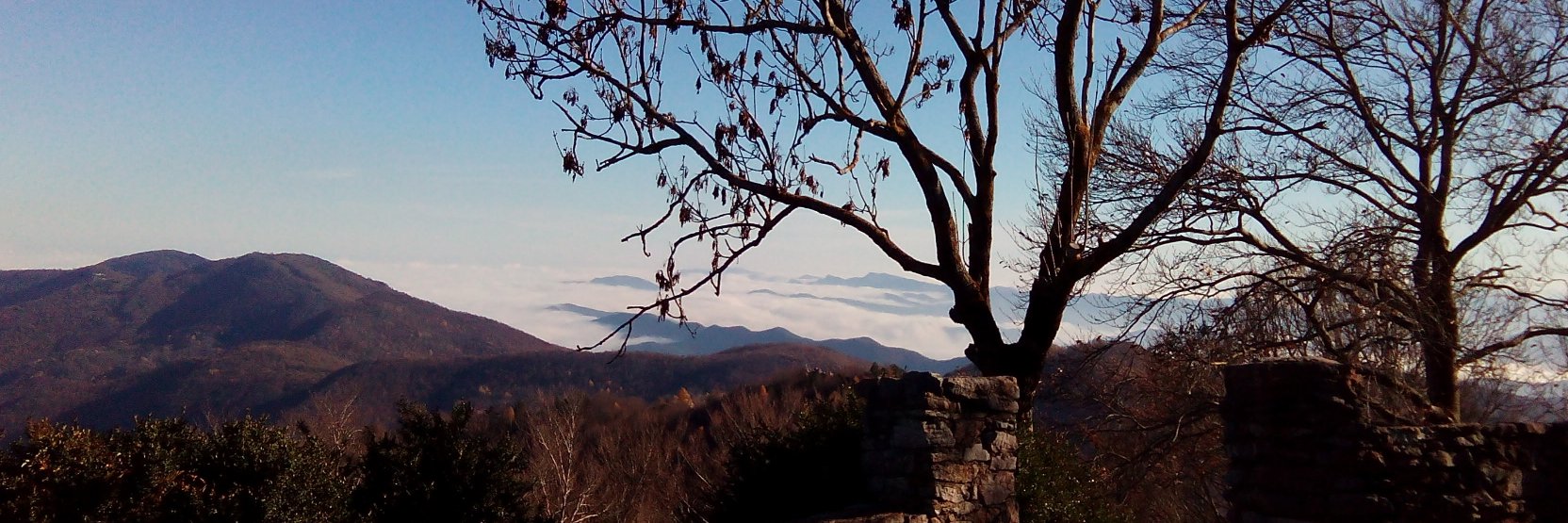 Ester Pinart 🎗 banner