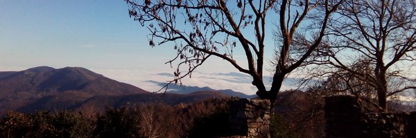 ester_pb Profile Banner