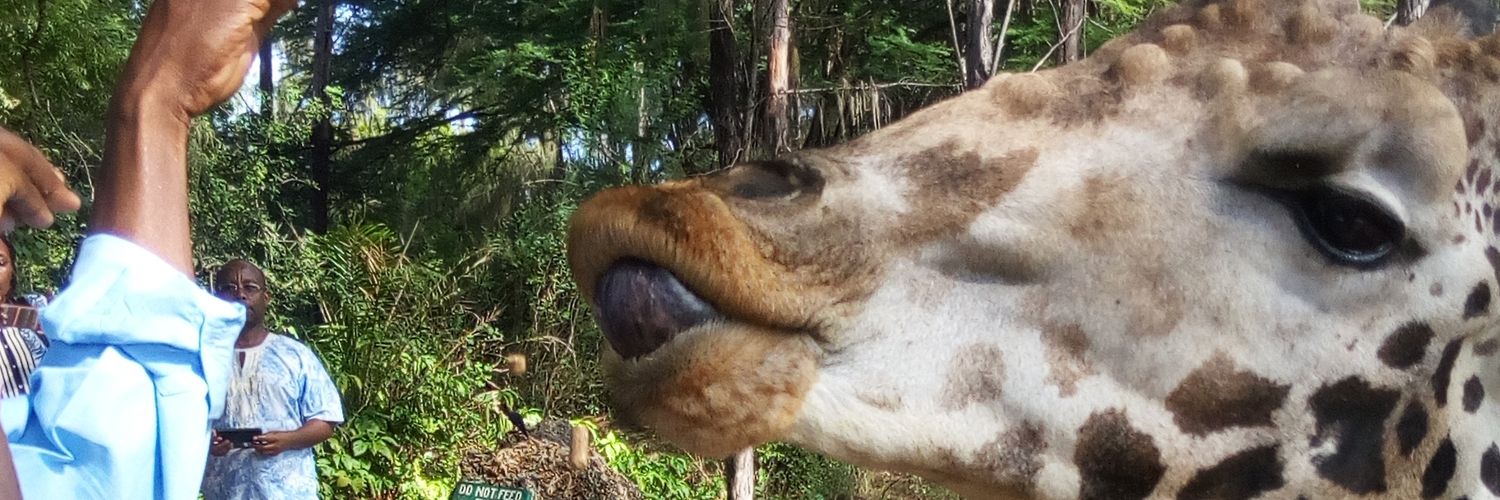 Kvnnjuguna's profile banner image