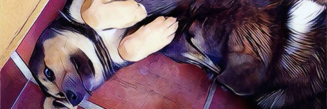 ssambade's profile banner image