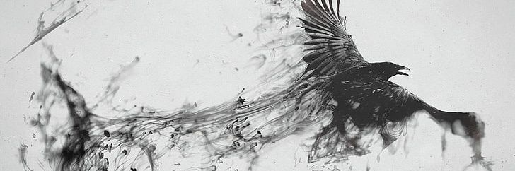 rhenalyr's profile banner image