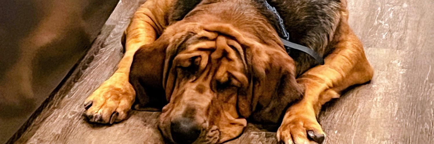 MamaAstroh's profile banner image
